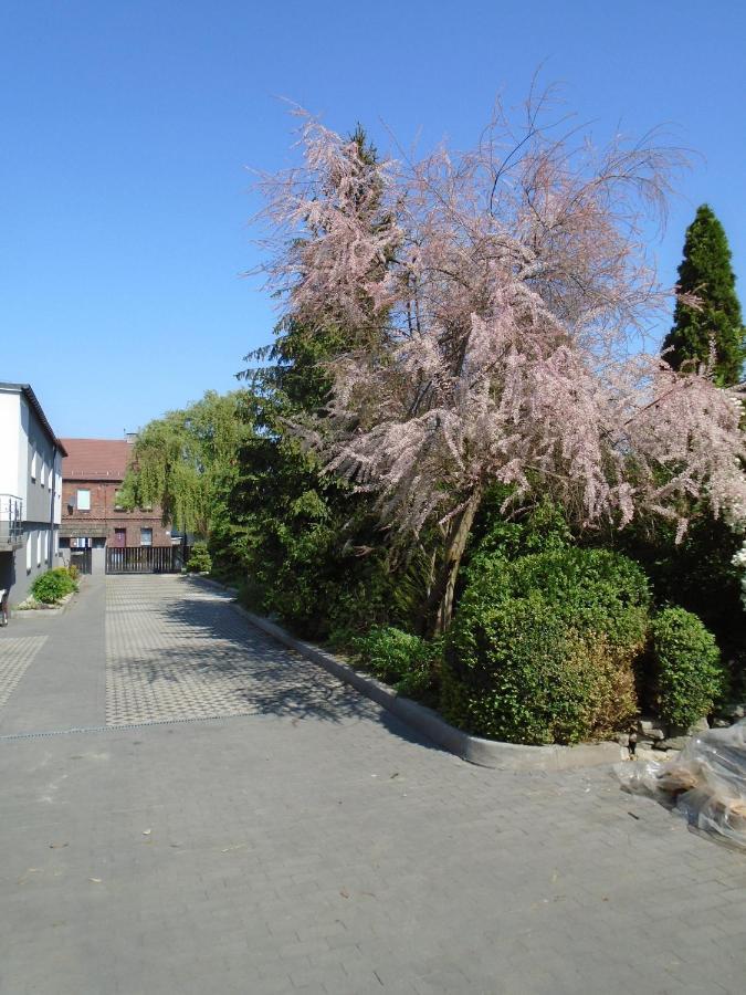 Villa Art Korab Gliwice Exterior foto